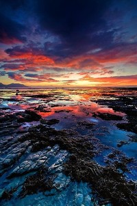 瑞士田径选手以绝佳成绩获得多项冠军