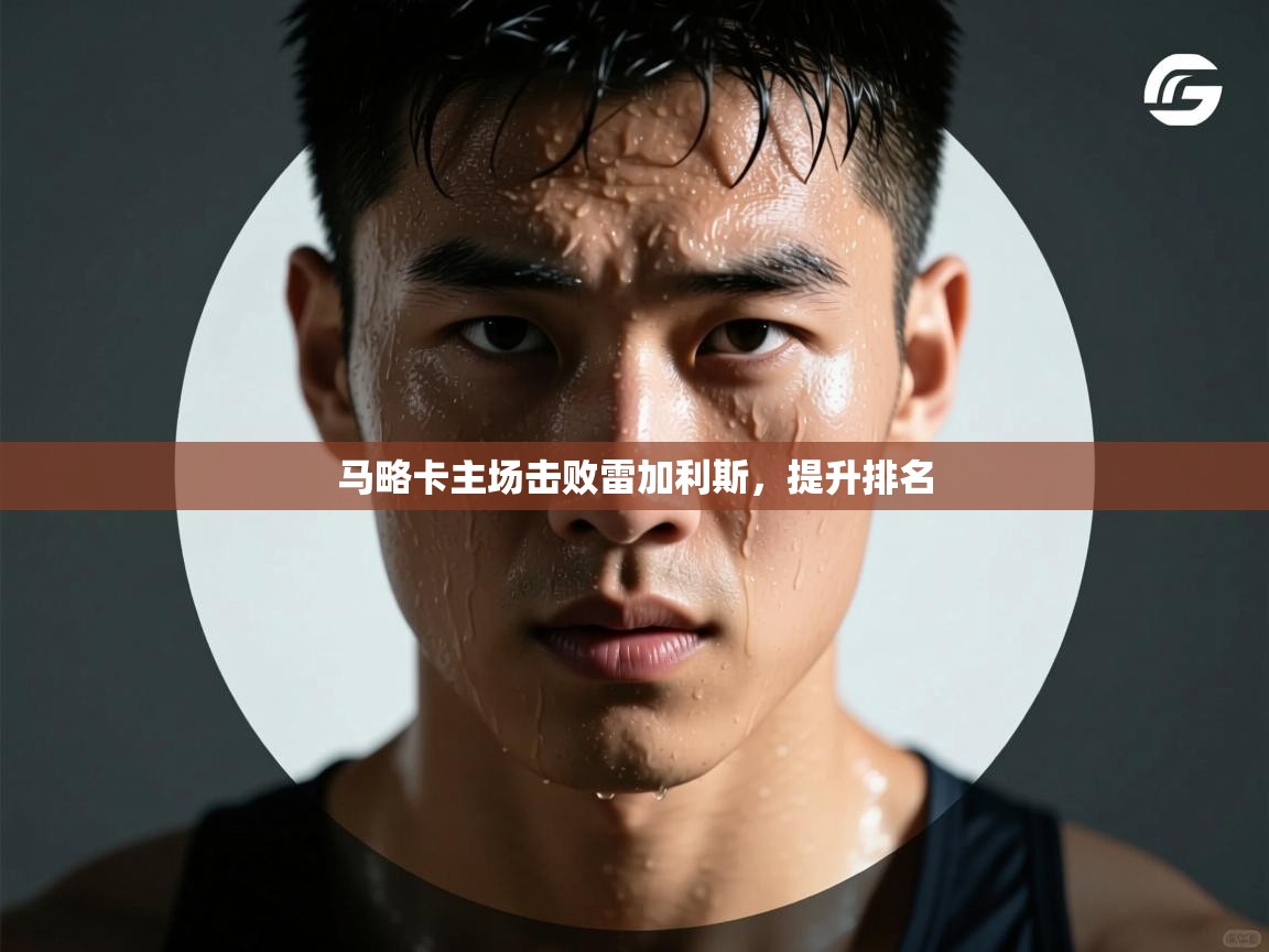 马略卡主场击败雷加利斯，提升排名  第2张